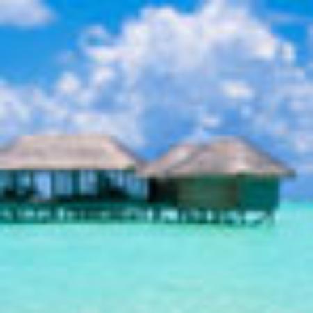 Maurya Juice and Snacks Center